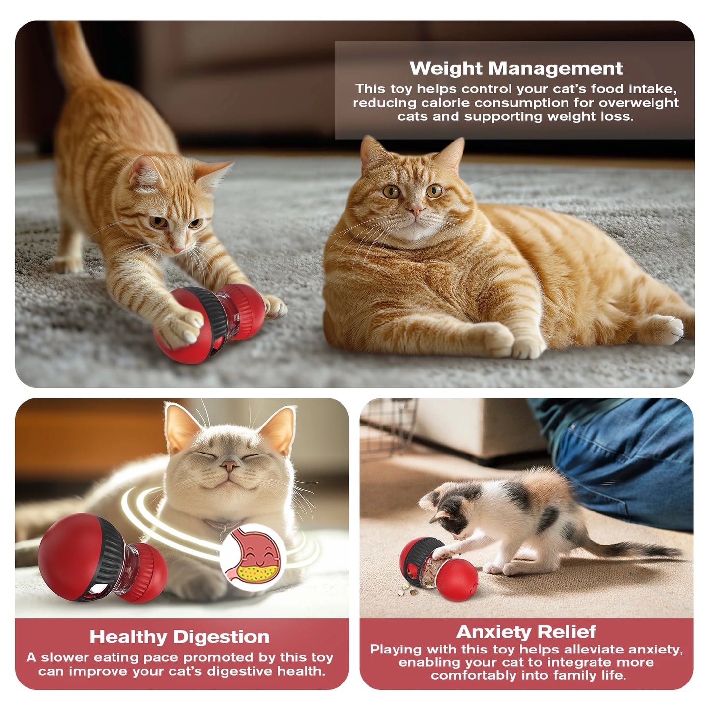 Pelota Dispensadora de Premios con Sonido para Gatos — Anti-Aburrimiento