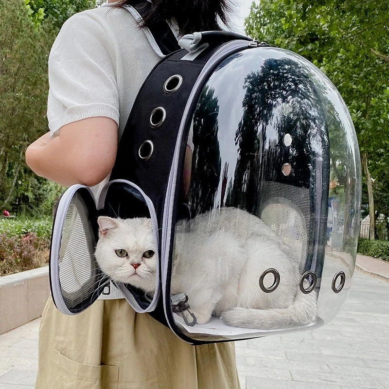 Mochila Transportín con Ventana Panorámica para Gatos — hasta 6 kg