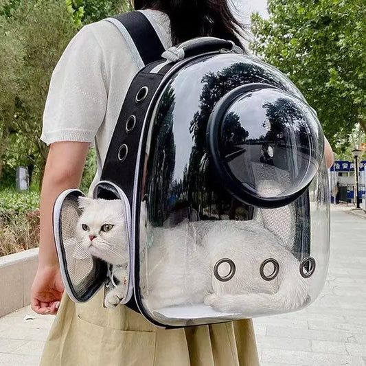 Mochila Transportín con Ventana Panorámica para Gatos — hasta 6 kg