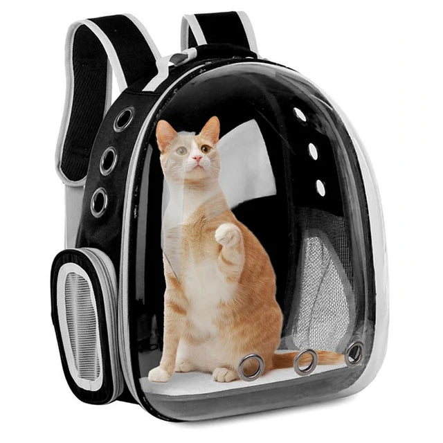 Mochila Transportín con Ventana Panorámica para Gatos — hasta 6 kg