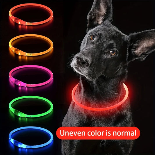 Collar LED Recargable USB para Perros — Visibilidad Nocturna 360°