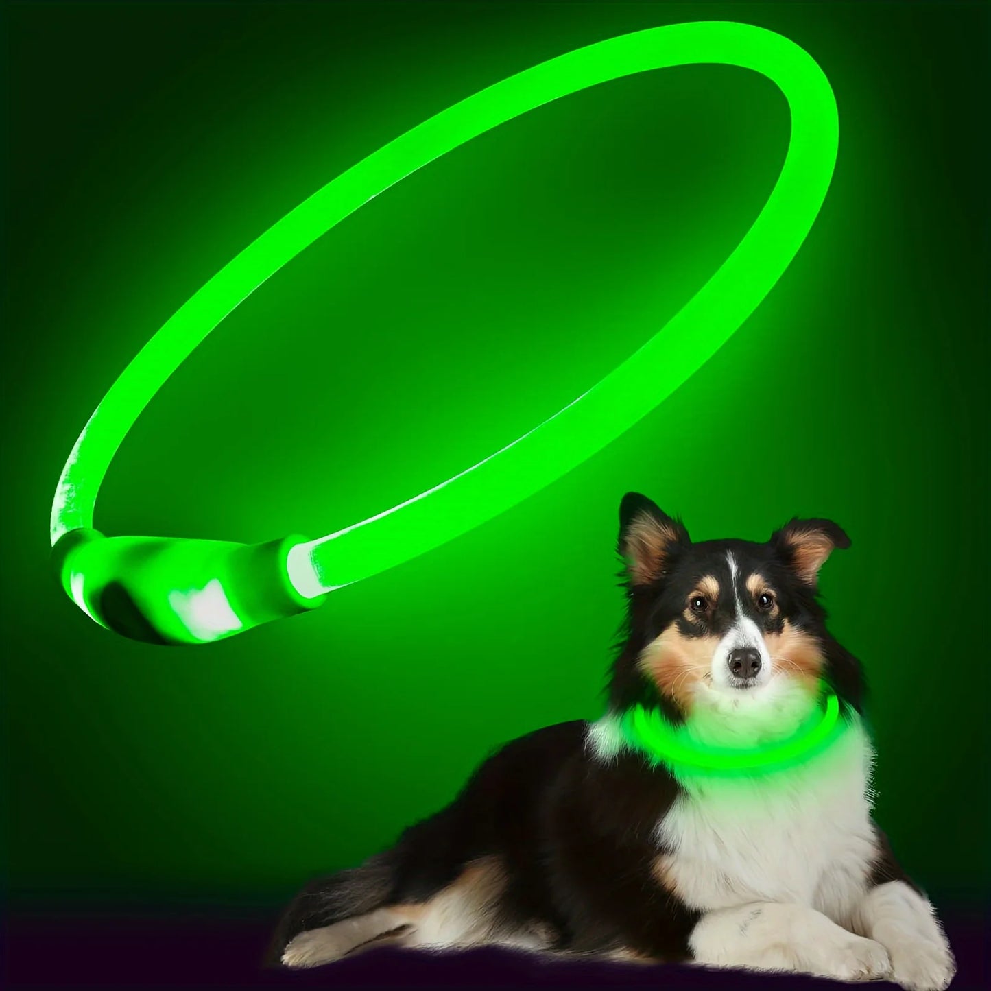 Collar LED Recargable USB para Perros — Visibilidad Nocturna 360°