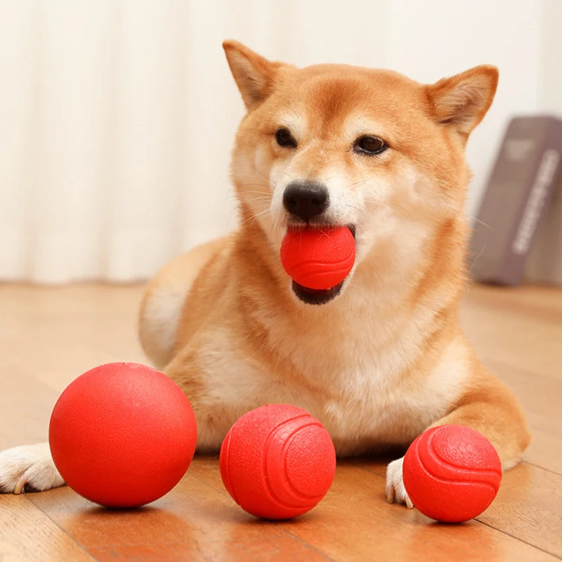 Pelota de Goma Maciza Irrompible para Perros — Resistente y Segura