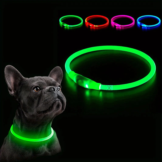 Collar LED Recargable USB para Perros — Visibilidad Nocturna 360°