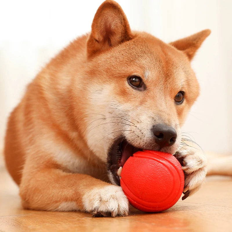 Pelota de Goma Maciza Irrompible para Perros — Resistente y Segura