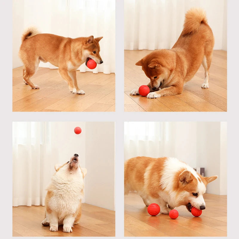 Pelota de Goma Maciza Irrompible para Perros — Resistente y Segura